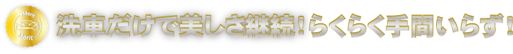 洗車だけで美しさ継続！らくらく手間いらず！